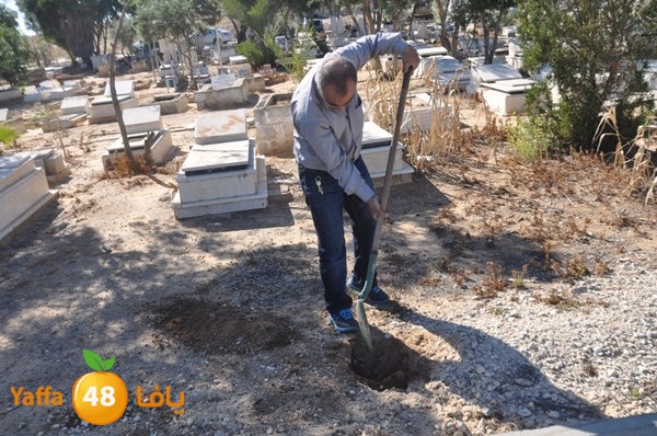 ashjar taso 0328 (32).JPG